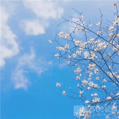 九博体育手机版