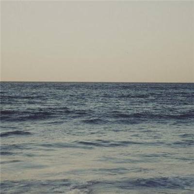 三公牛牛游戏app