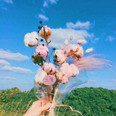 万博(ManBetx)app下载