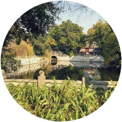 皇冠·app手机app下载