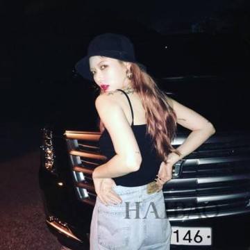 香港2023正版免费资料